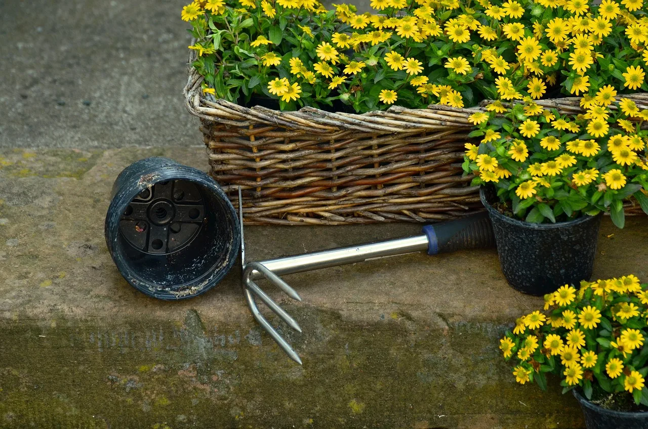 Strumento da giardino multifunzionale per rimuovere erbacce e facilitare la cura del giardino.